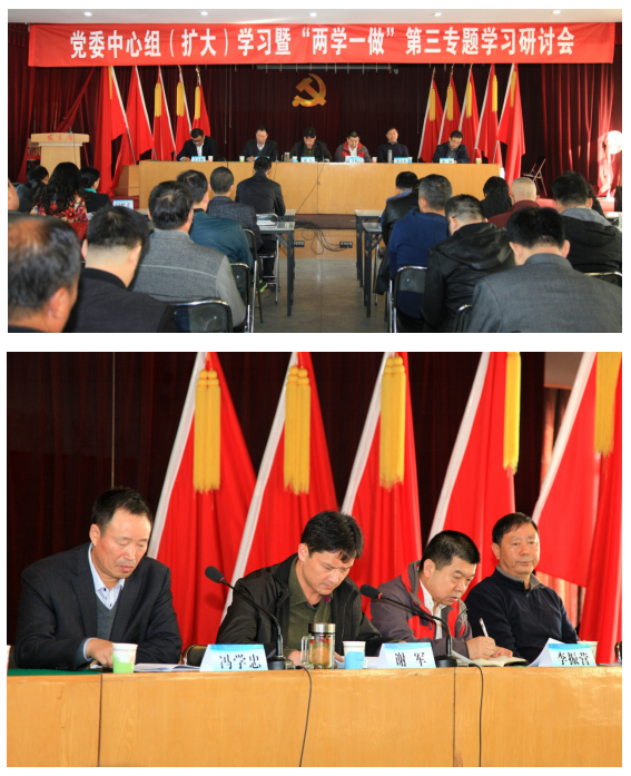 集团公司党委组织召开中心组(扩大)学习暨“两学一做”第三专题学习研讨会