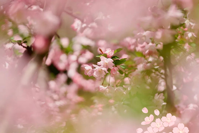 做有心青年   大声说出爱